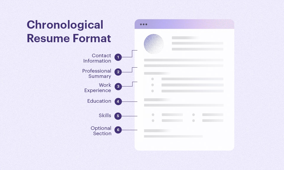 Chronological Resume Format Structure