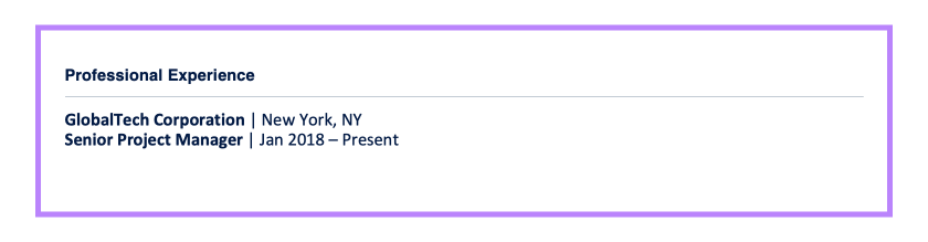 Example Experience Senior Project Manager