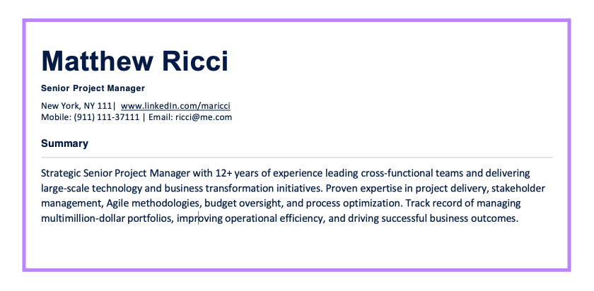 Example Resume Summary Senior Project Manager