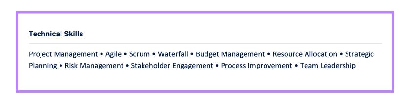 Example Technical Skills Senior Project Manager