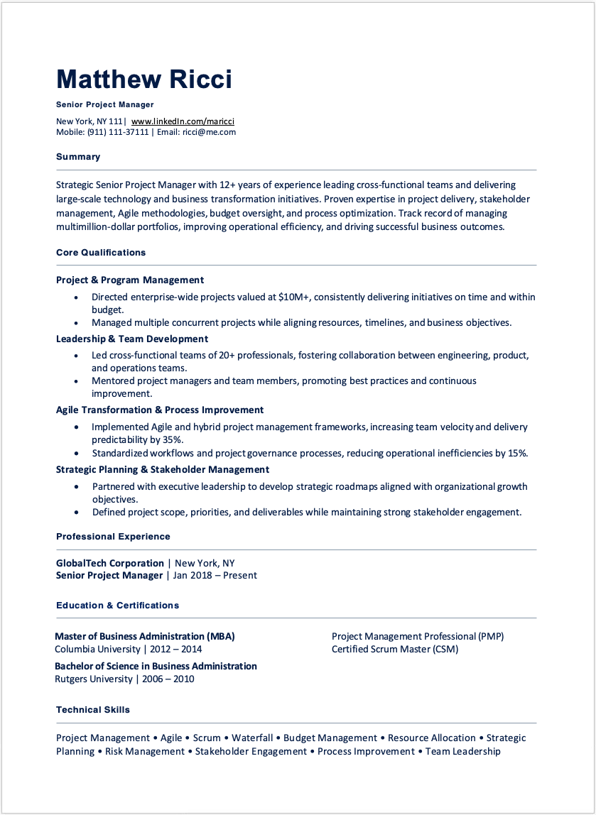 Functional Resume Senior Project Manager