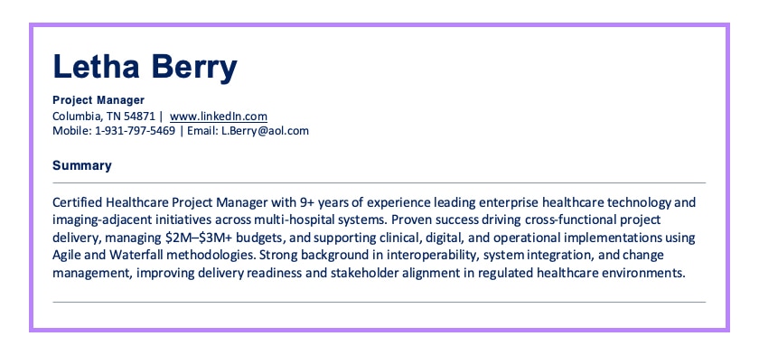 Project Manager Resume Summary Example