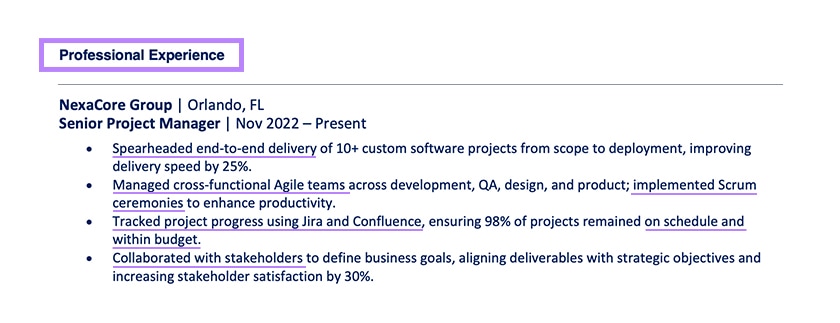 Senior Project Manager Professional Experience Example